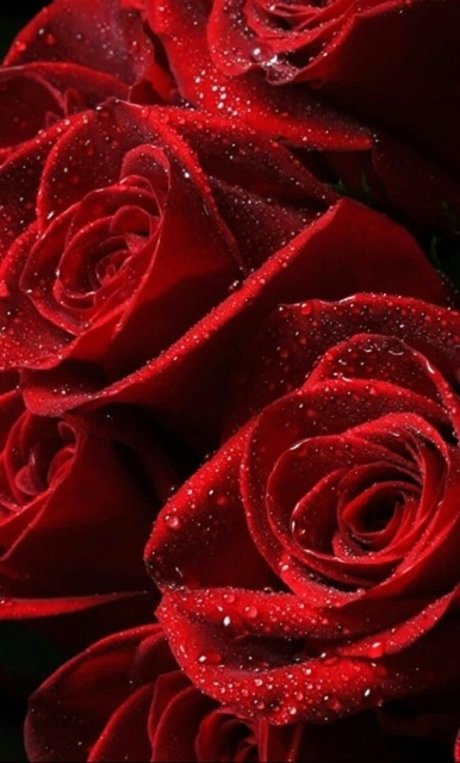 OfficialPrettyRed xxx nackten fotos