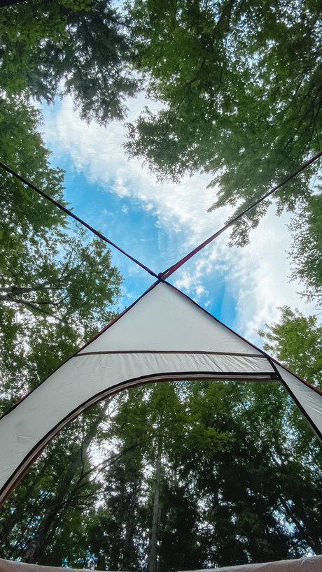 Portland bears kostenlose schöne galerie