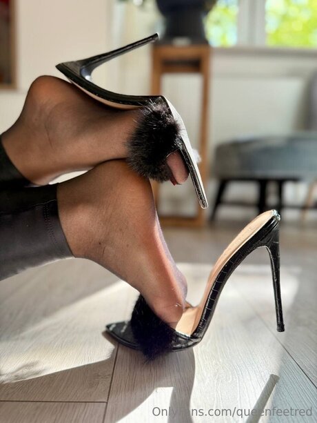 ffm onlyfans erwachsene schöne galerie