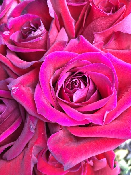 Kay Mella kunst xxx foto