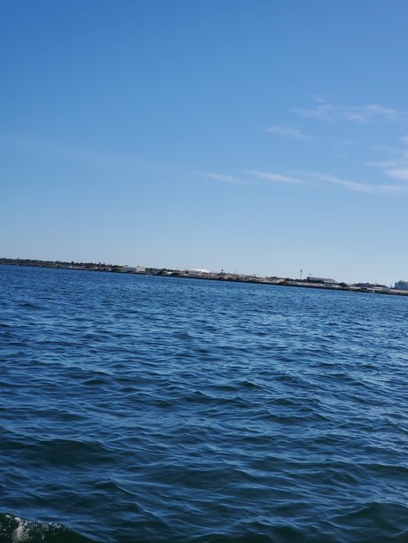 Bill that guy and oh my_ freie nette galerie