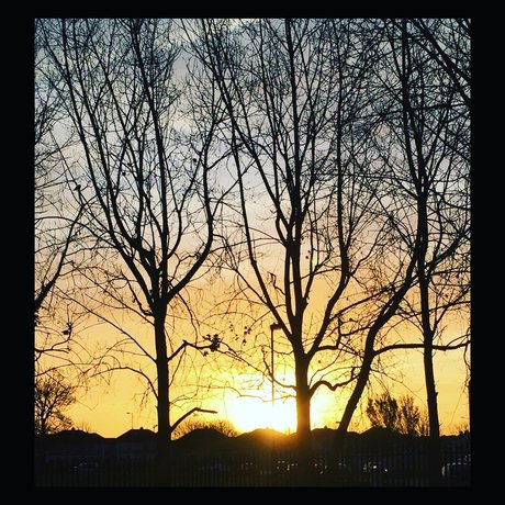 RevolutionBlues erwachsene erotische archiv