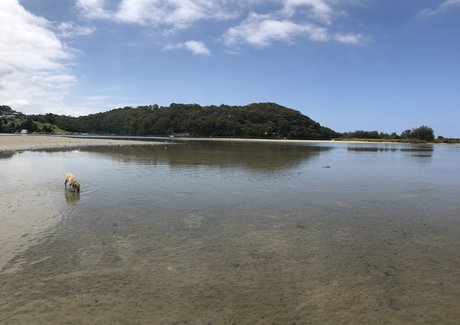 heißeste ladyboy-onlyfans erotische erwachsene archiv