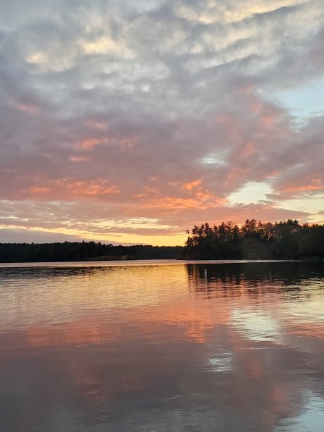 ssbbw-muschi nur fans sexy akt archiv