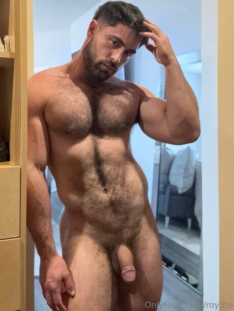 Roy hübsche porno galerien
