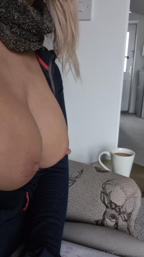 _English Rosie_ exklusive schöne galerien