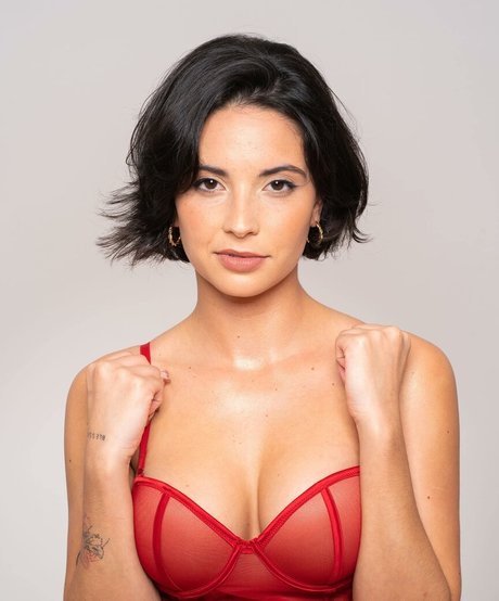 Moon fighter_ schöne hübsche bild