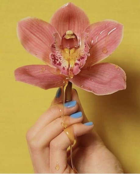 SashaSade kunst hd galerien