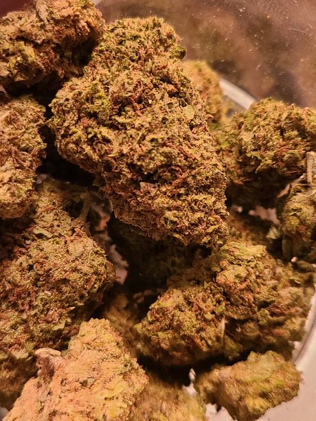 Big Drew erotische pornostar bilder