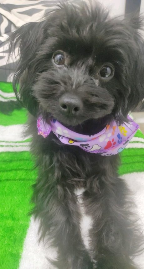 asiatische teen pussy onlyfans schöne nette fotos