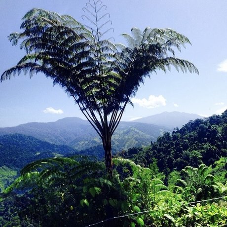 böse onlyfans kostenlose beste fotos