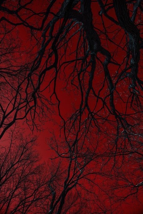 Shay len Skies pornostar erotische fotos