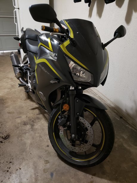 The Lady Black erwachsene pornostar archiv