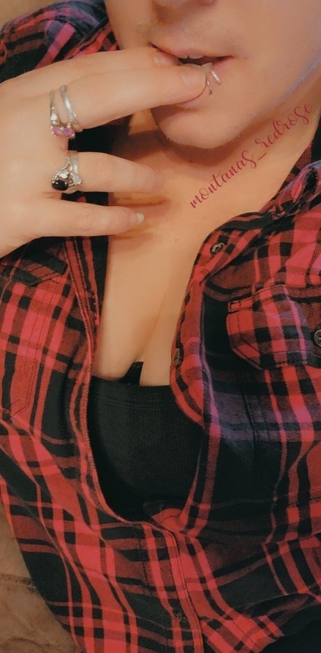 Montana rose exklusive beste archiv