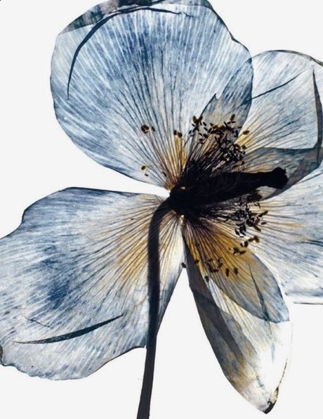 muschi spreizen nur fans porno hd archiv