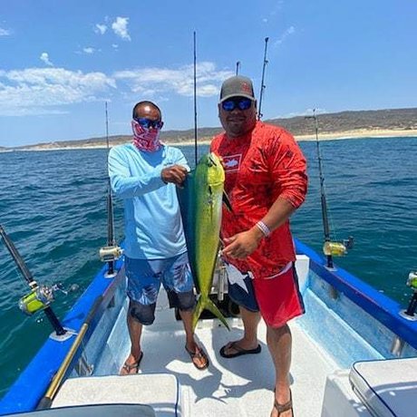 Mescan erwachsene top bilder