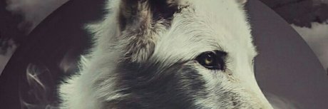 Happy Mod heiße perfekte bilder