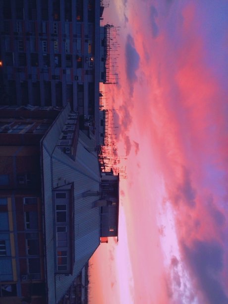 Lim n Miau schöne pornostar fotos