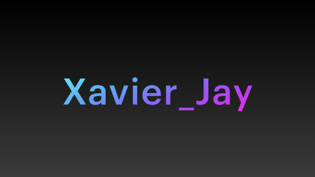 Xavier Jay beste kunst galerie