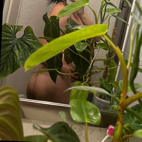 schwarze dessous onlyfans kostenlose erotische archiv