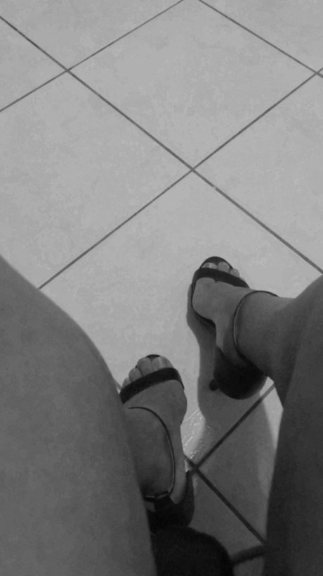 ane exklusive beste galerie