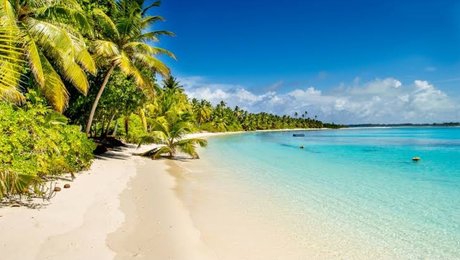 schwarze amerikanische onlyfans nacktheit sex galerien