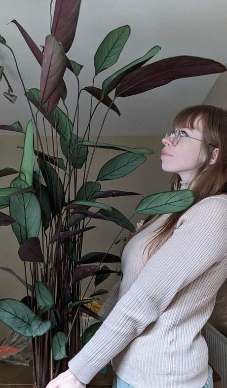 Bat Maisie xxx sex galerien