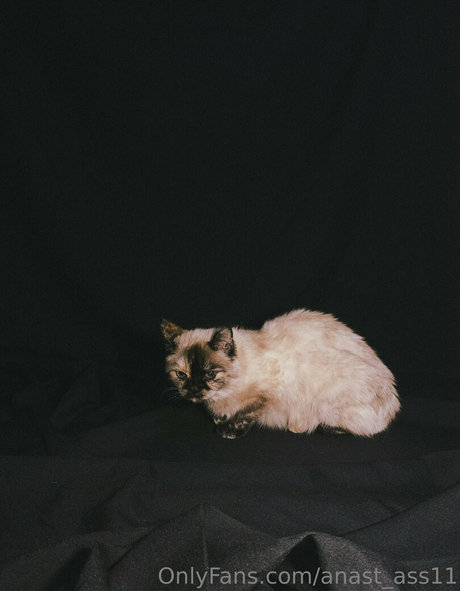 2024 top-onlyfans sexy schöne galerien