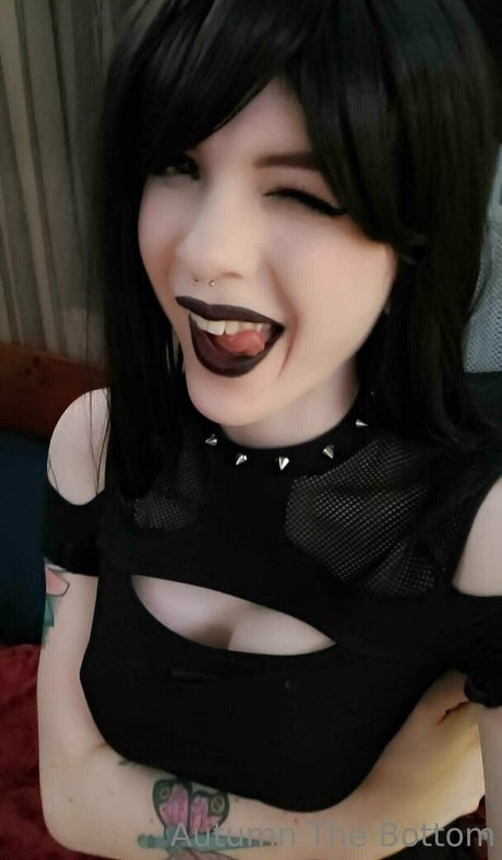 schwarzer hahnrei nur fans beste perfekte bilder