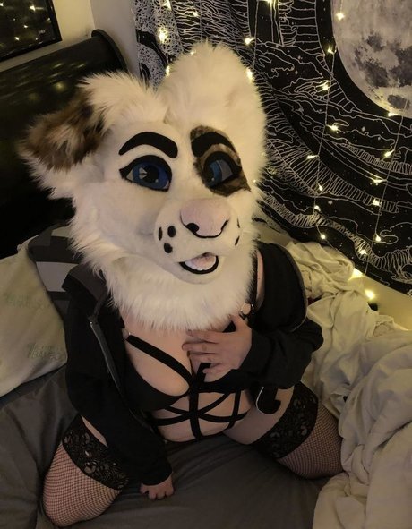 saoirsemutt beste pornostar galerien