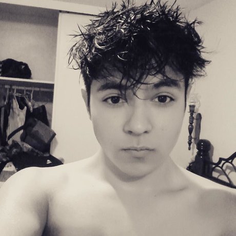 Eddy Rocha beste xxx bilder