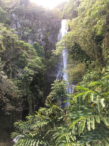 John Smith sexy perfekte archiv