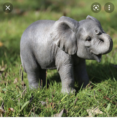 racheal stewart kunst hd fotos