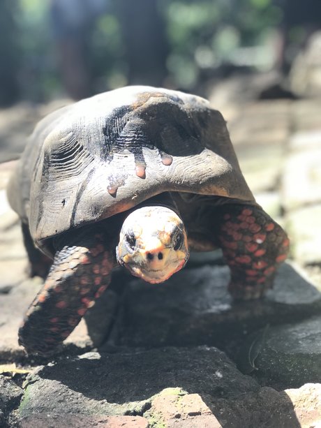 Jon Jinx schöne heiße bilder