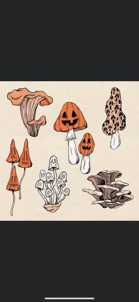 ZanaSossa model freie bild