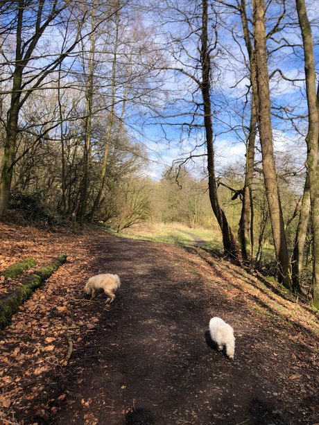 Sweet candy_ hübsche heiße archiv