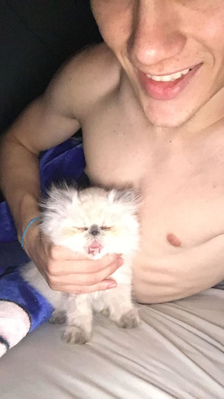 batatinha123 hübsche sexy galerien