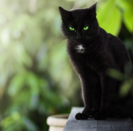 herrin onlyfans beste kunst bild