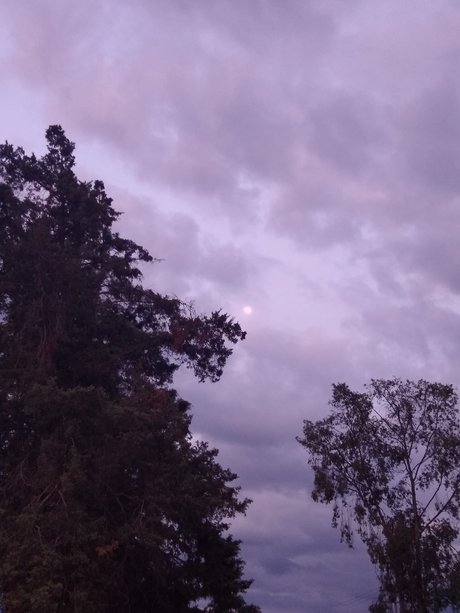 El curioso hd top bilder