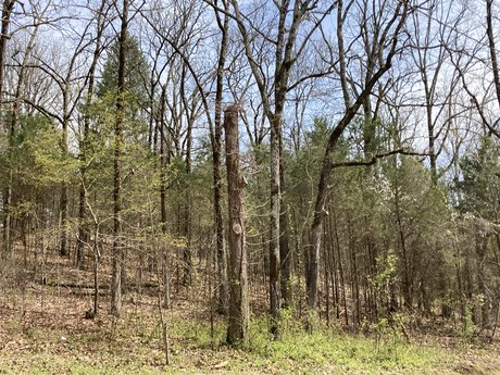 Top of the Ozarks perfekte top bilder