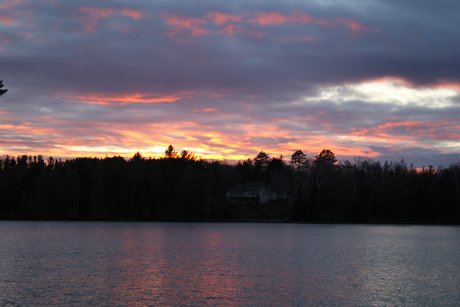 Corvette Marty erotische kostenlose galerie