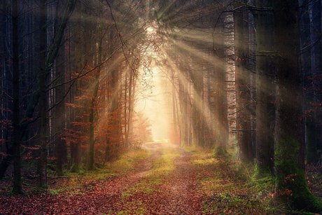 analfüße nur fans kostenlose pornografische archiv