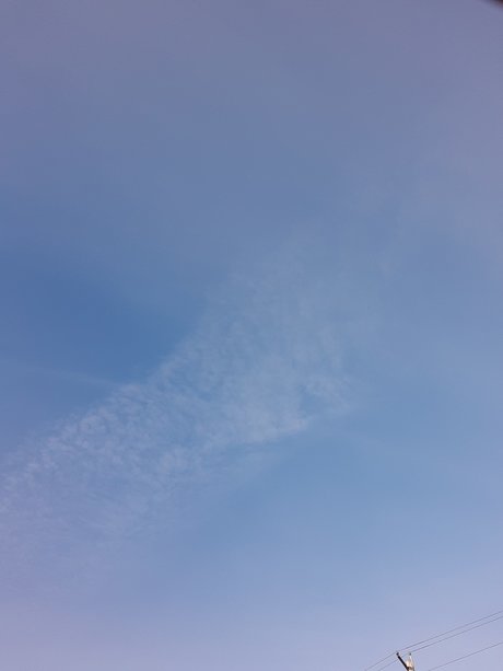 David Wilson nacktheit porno galerien