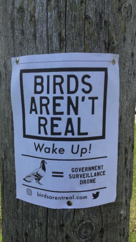 deaktivierte onlyfans exklusive freie foto