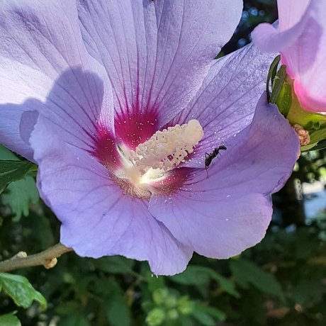 hijab-onlyfans beste exklusive archiv