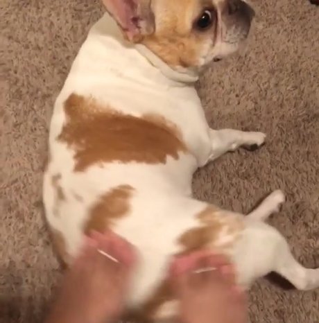 bbc-massage nur fans xxx freie foto