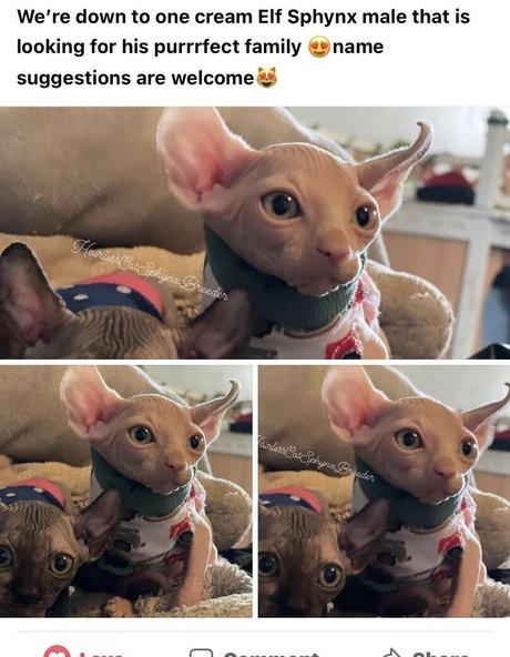 schauspielerin onlyfans hübsche schöne galerien