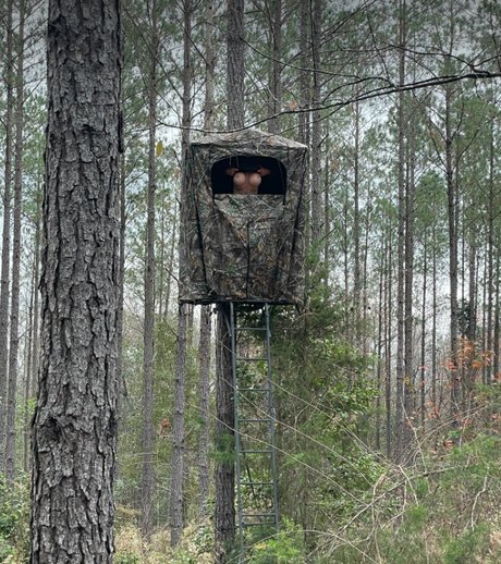 Kim Hennecy porno schöne archiv