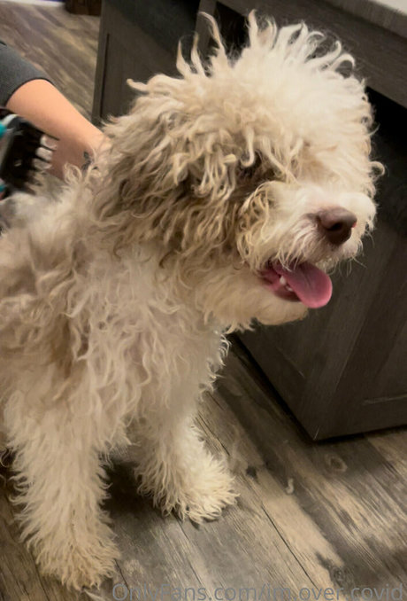 elektriker onlyfans xxx sexy bild