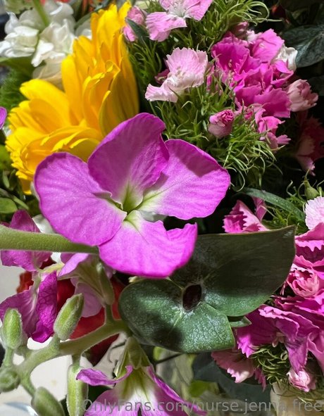 asiatische top-onlyfans sex galerien